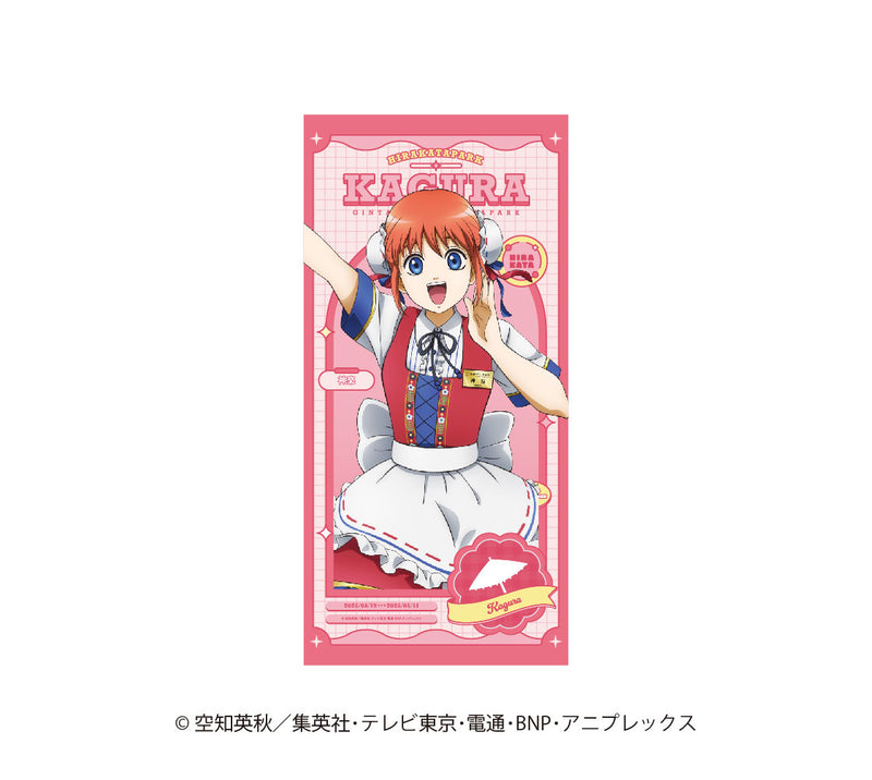 【銀魂×ひらかたパーク】描き下ろしビッグタオル　ひらかたパークver.【6月20日17時締切】【8月中旬発送予定】