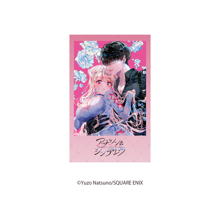 アサシン＆シンデレラ】インスタントフォト風カード – animo